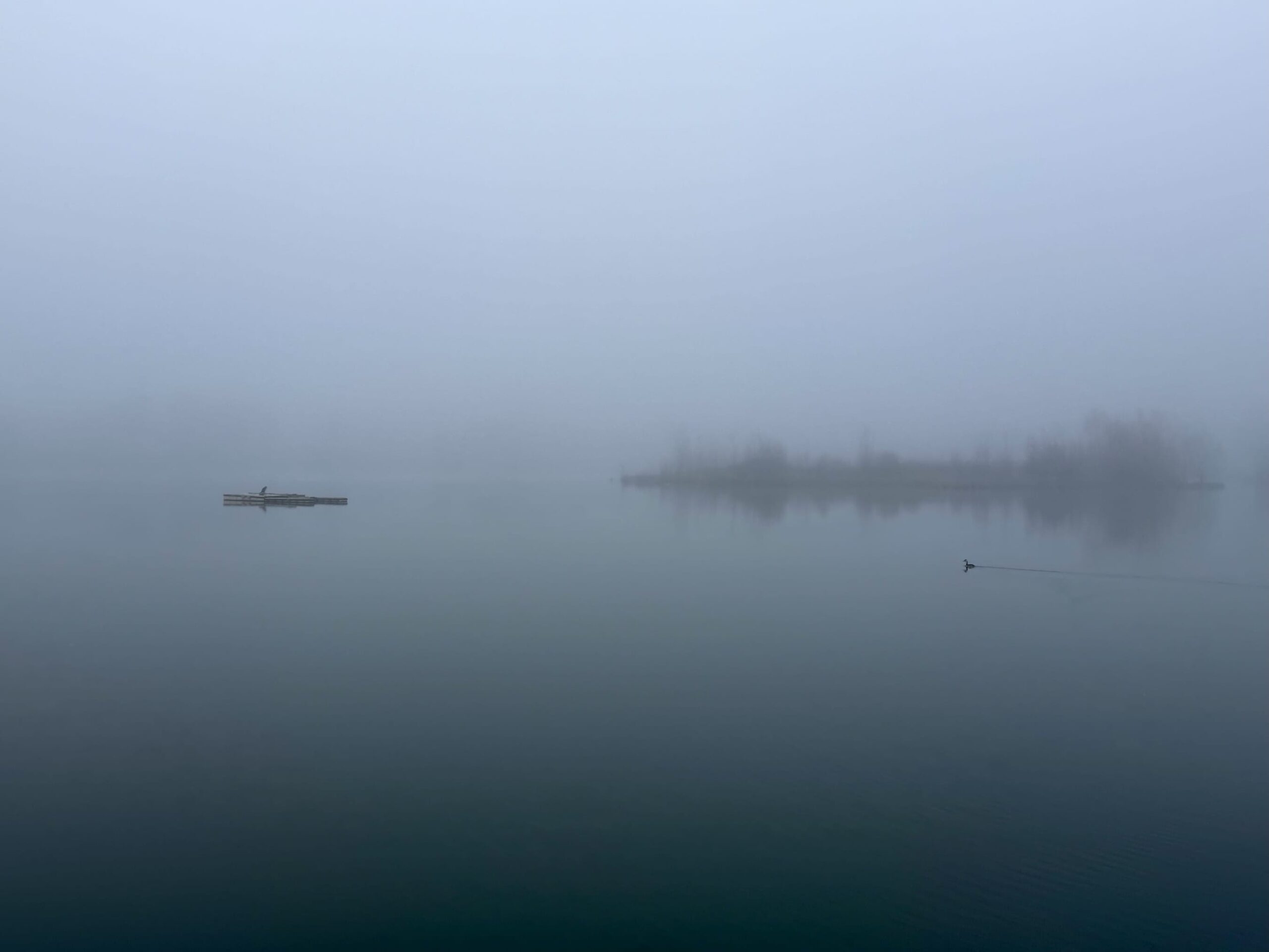 Lac de Belle-Isle, Châteauroux, 30 novembre 2024. DR.