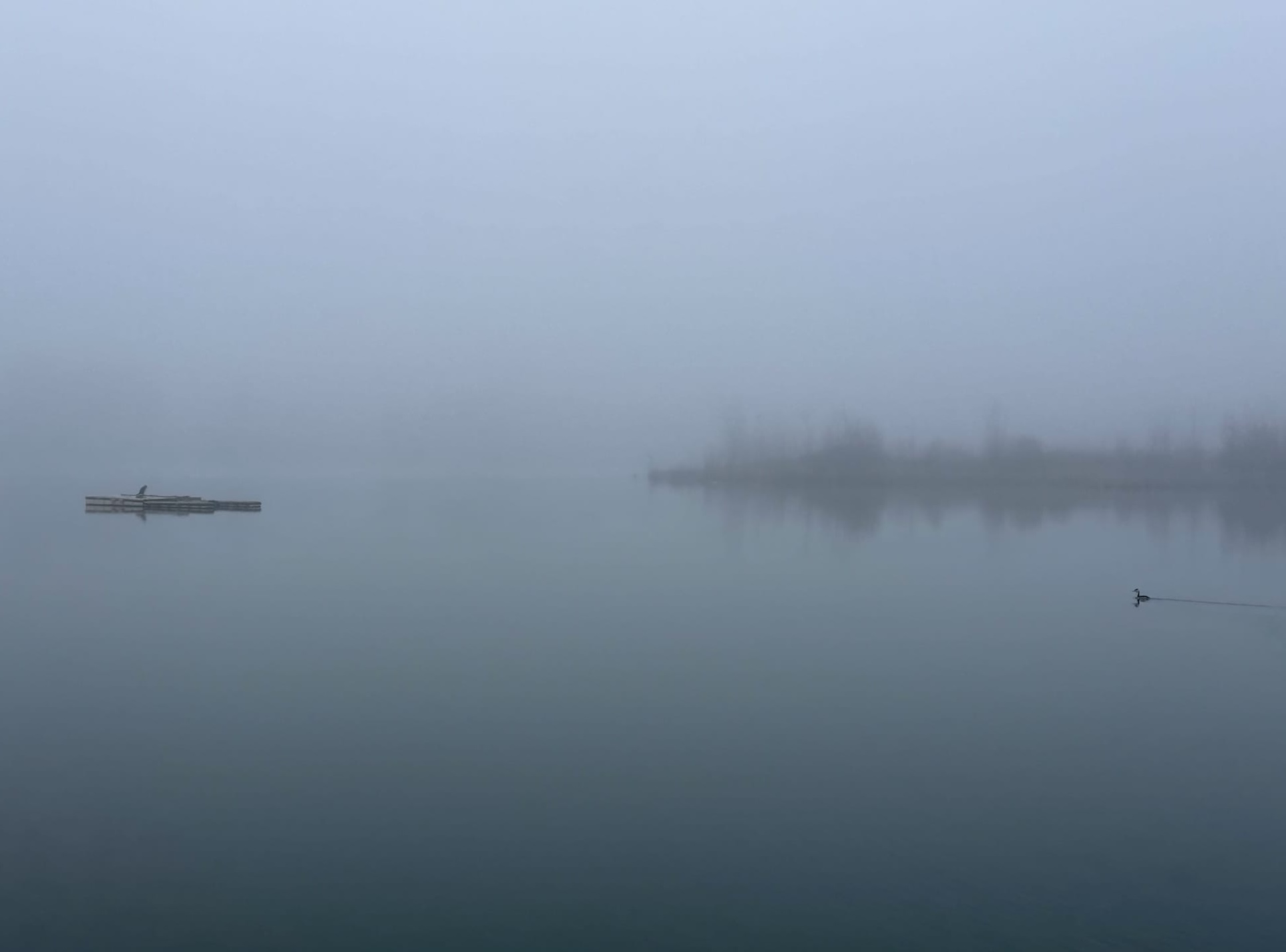 Le fantĂŽme dans la machine